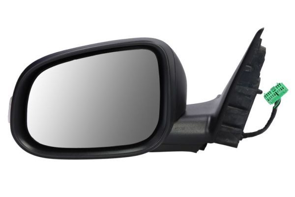 BLIC 5402-24-1517310P Exterior Mirror