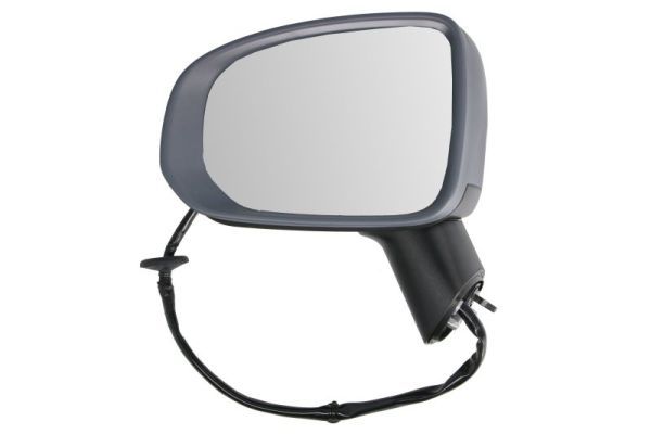 BLIC 5402-24-2025314P Exterior Mirror
