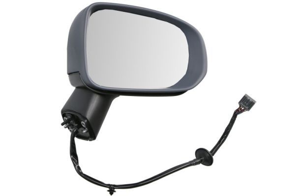 BLIC 5402-24-2025317P Exterior Mirror