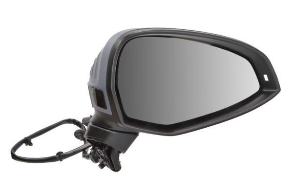 BLIC 5402-25-0054313P Exterior Mirror