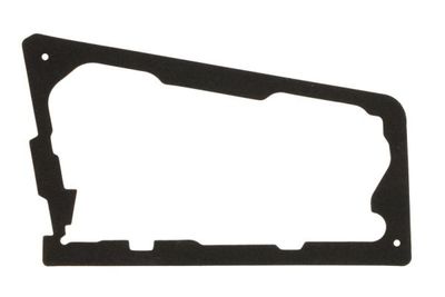 Gasket, tail light assembly BLIC 5402-25-0062502P
