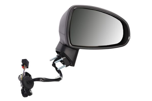 BLIC 5402-25-1629311P Exterior Mirror