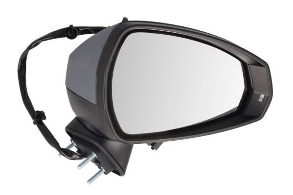 BLIC 5402-25-2001020P Exterior Mirror