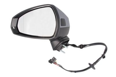 Exterior Mirror BLIC 5402-25-2001029P