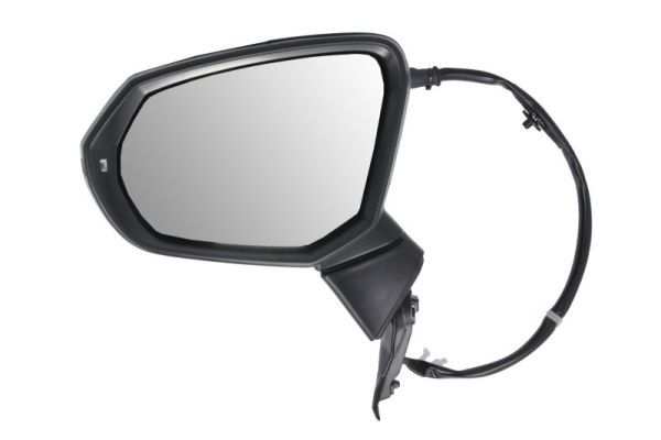 BLIC 5402-25-2178310P Exterior Mirror