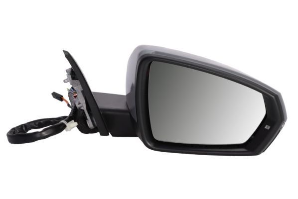 BLIC 5402-25-2205317P Exterior Mirror