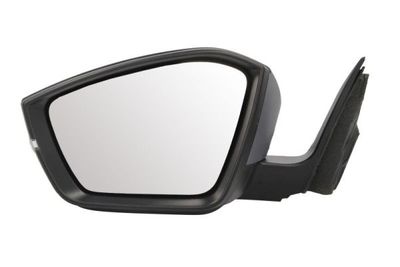 Exterior Mirror BLIC 5402-43-1319310P