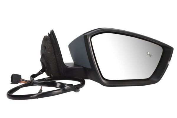 BLIC 5402-43-1319315P Exterior Mirror