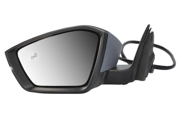 BLIC 5402-43-1319318P Exterior Mirror