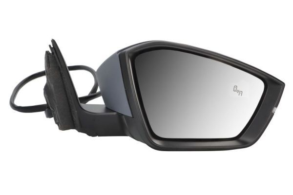 BLIC 5402-43-1319319P Exterior Mirror
