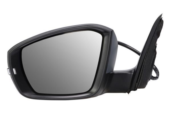 BLIC 5402-43-1923310P Exterior Mirror