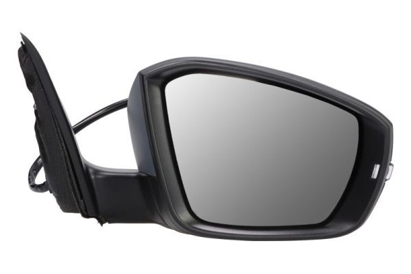BLIC 5402-43-1923311P Exterior Mirror