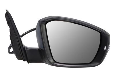 Exterior Mirror BLIC 5402-43-1923311P
