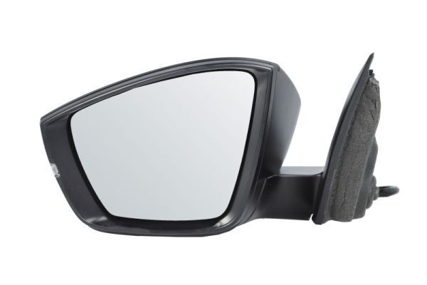 BLIC 5402-43-1925310P Exterior Mirror