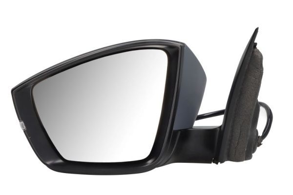 BLIC 5402-43-1925314P Exterior Mirror