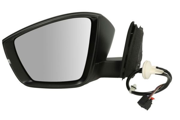 BLIC 5402-43-1926310P Exterior Mirror