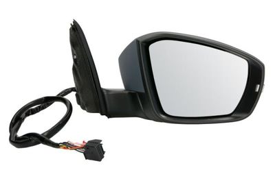 Exterior Mirror BLIC 5402-43-2002356P