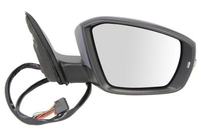 Exterior Mirror BLIC 5402-43-2002358P