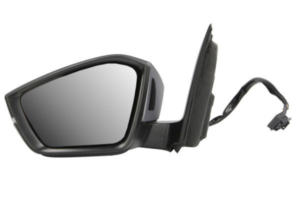 BLIC 5402-43-2195316P Exterior Mirror
