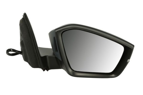 BLIC 5402-43-2195317P Exterior Mirror