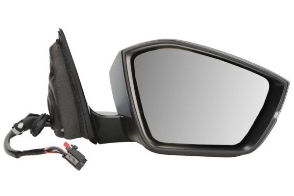 BLIC 5402-43-2355313P Exterior Mirror