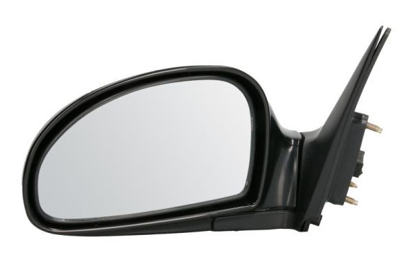 BLIC 5402-53-2001495P Exterior Mirror