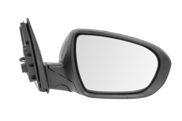 BLIC 5402-53-2001518P Exterior Mirror