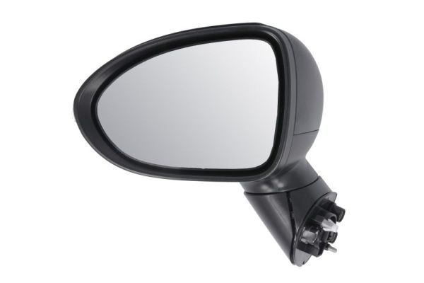 BLIC 5402-53-2001555P Exterior Mirror