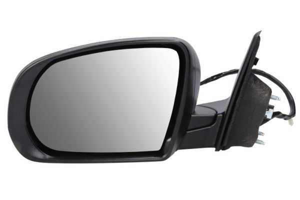 BLIC 5402-55-2222310P Exterior Mirror