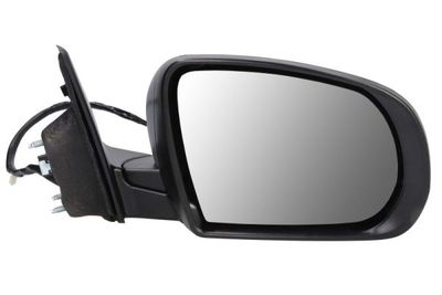 Exterior Mirror BLIC 5402-55-2222311P