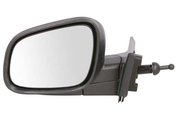 BLIC 5402-56-010361P Exterior Mirror