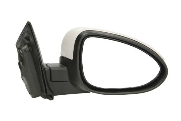 BLIC 5402-56-013360P Exterior Mirror