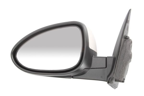 BLIC 5402-56-013361P Exterior Mirror