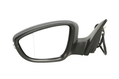 Exterior Mirror BLIC 5402-01-049361P