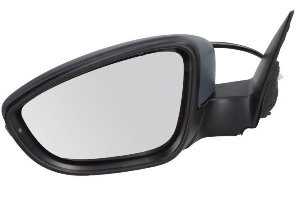 BLIC 5402-01-2002577P Exterior Mirror