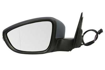 Exterior Mirror BLIC 5402-01-2002579P