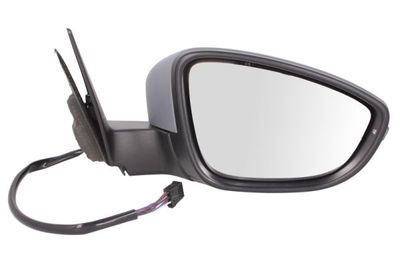 Exterior Mirror BLIC 5402-01-2002580P