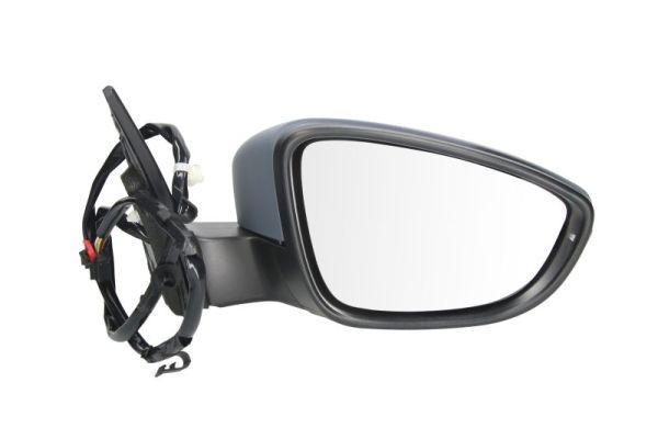 BLIC 5402-01-2002592P Exterior Mirror