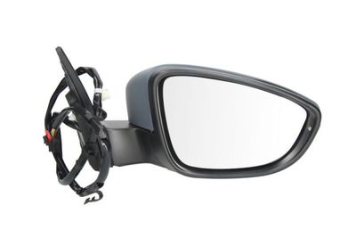 Exterior Mirror BLIC 5402-01-2002592P