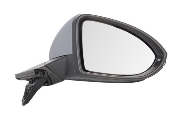BLIC 5402-01-2002648P Exterior Mirror