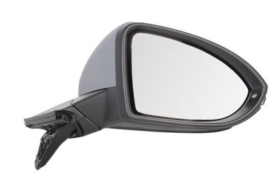 Exterior Mirror BLIC 5402-01-2002648P