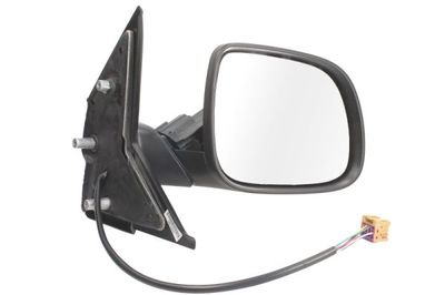 Exterior Mirror BLIC 5402-01-2002666P