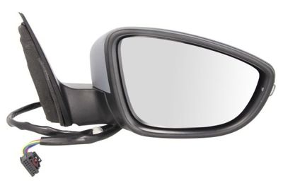 Exterior Mirror BLIC 5402-01-2002670P