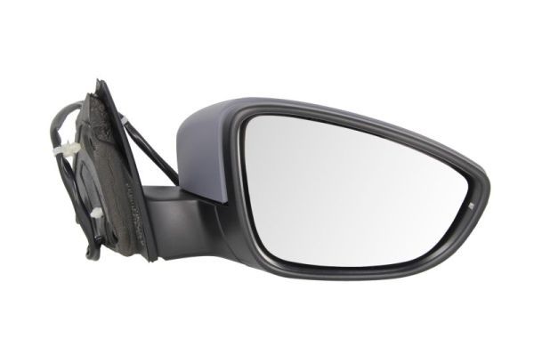 BLIC 5402-01-2002672P Exterior Mirror