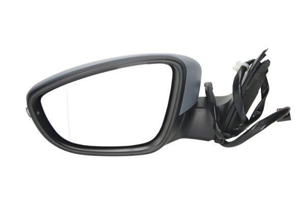 BLIC 5402-01-2002673P Exterior Mirror