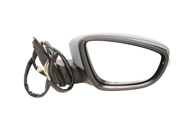 BLIC 5402-01-2002676P Exterior Mirror
