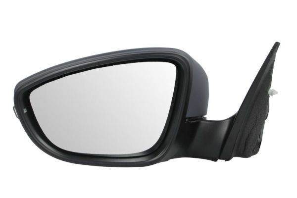 BLIC 5402-01-2002693P Exterior Mirror