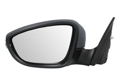 Exterior Mirror BLIC 5402-01-2002693P