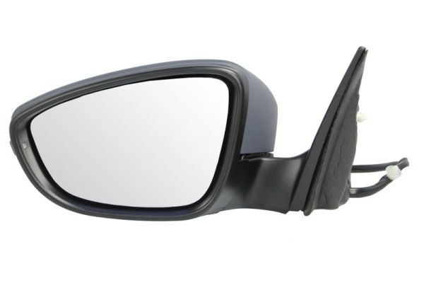 BLIC 5402-01-2002697P Exterior Mirror