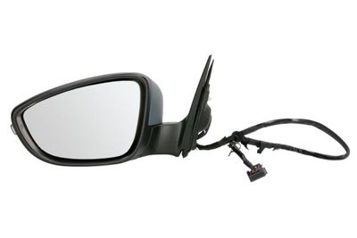 Exterior Mirror BLIC 5402-01-2002717P